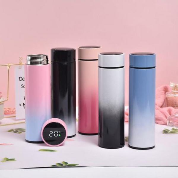 500ml Smart Sports Water Bottle with LED Temperature Display