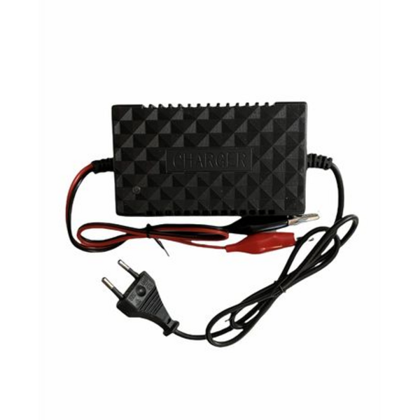 8ad8f730-a575-4f0e-86fe-78c465a278f2.png 2A-12V Intelligent Pulse Battery Charger